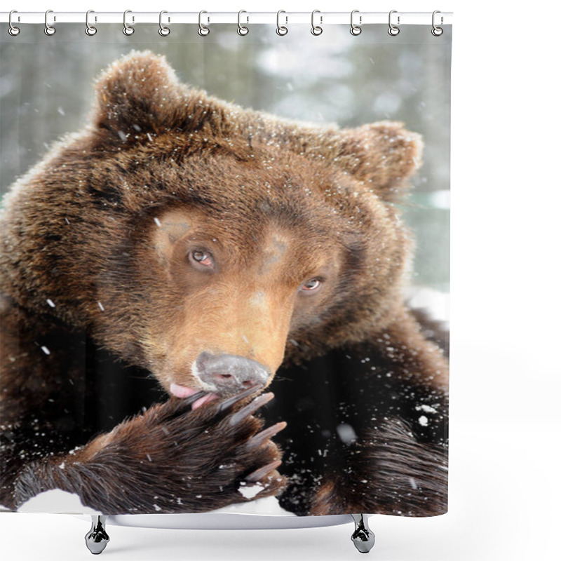 Personality  Wild Brown Bear Shower Curtains