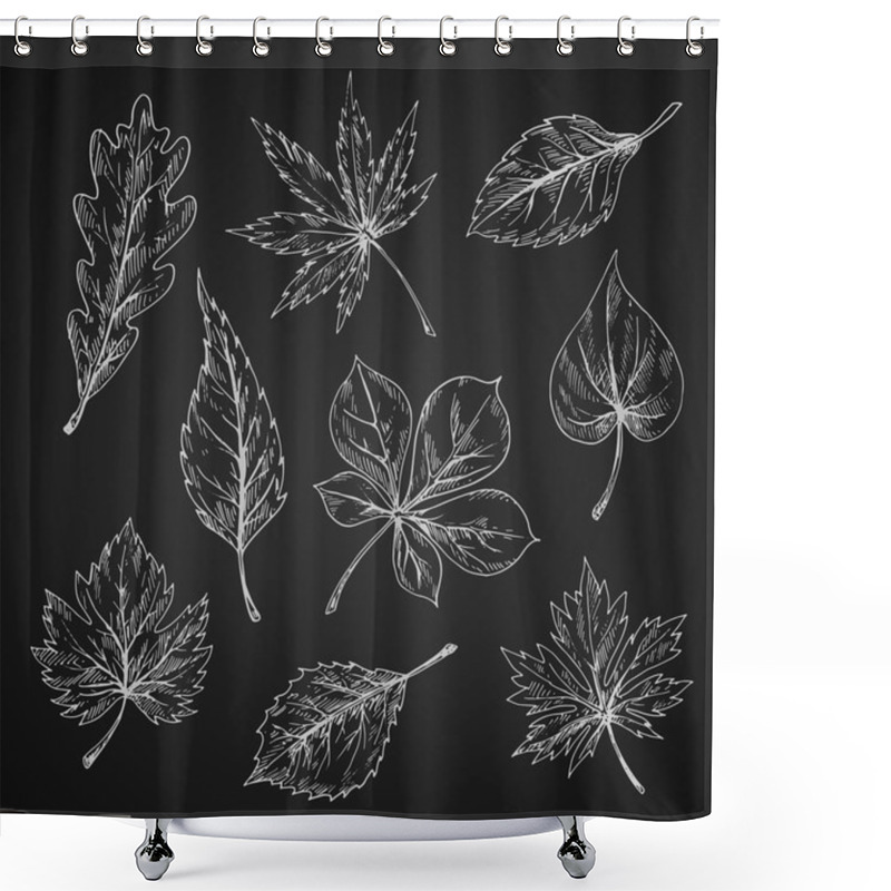 Personality  Chalk Sketches Of Leaves Silhouettes Shower Curtains