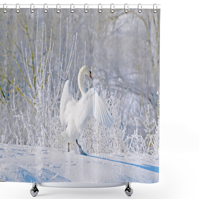 Personality  The White Swan Dances In The Snow. Shower Curtains