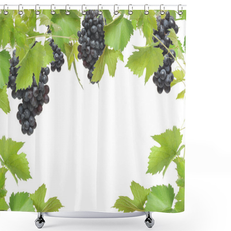 Personality  Fresh Grapevine Frame With Black Grapes, Isolated On White Background Shower Curtains