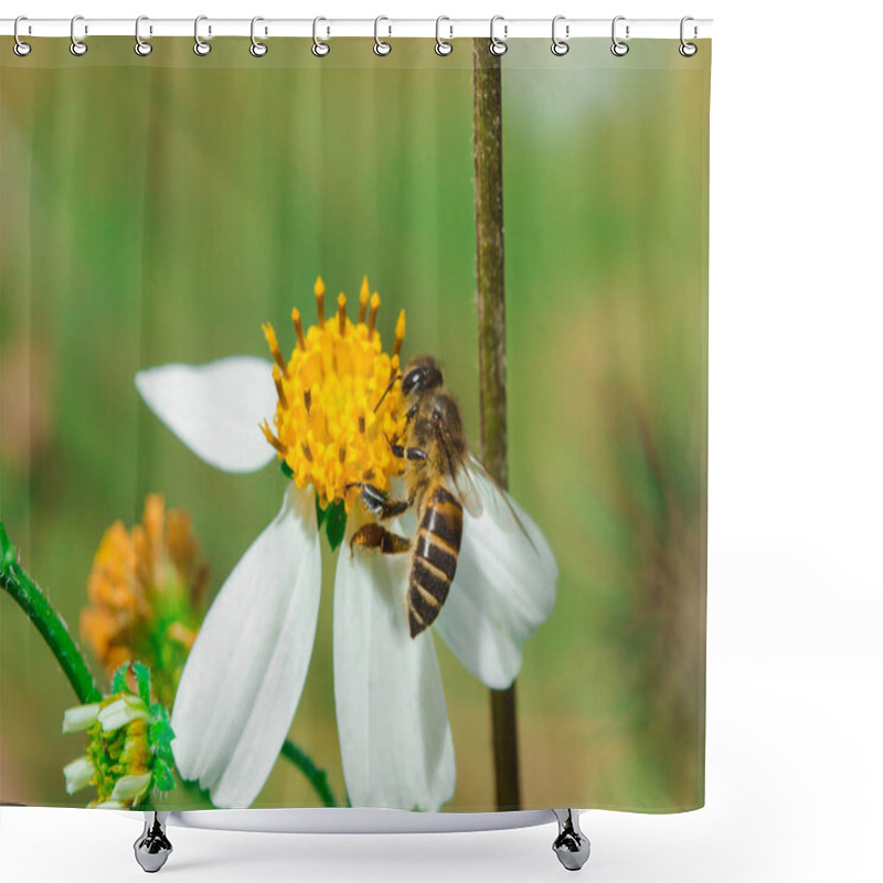 Personality  The Bees Are On Bidens Pilosa That Is Blooming In Nature. Shower Curtains