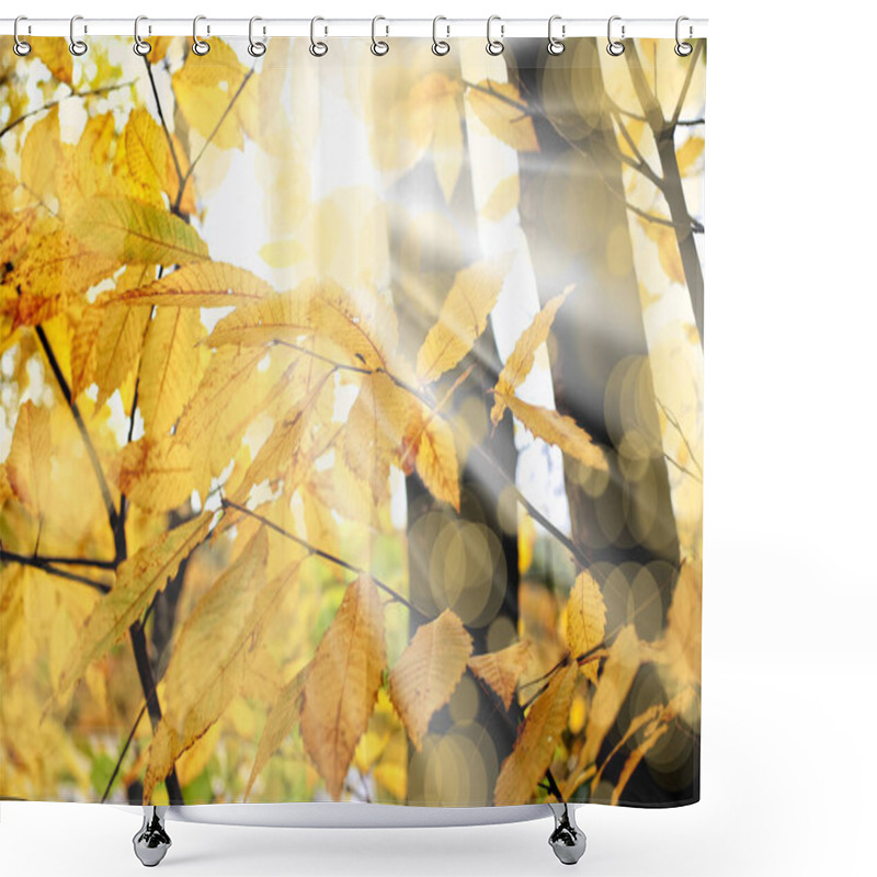 Personality  Autumn Leaves, Fall Season Foliage Shower Curtains