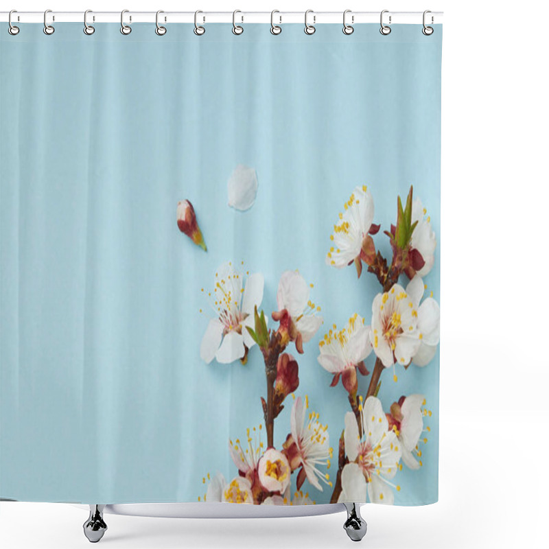 Personality  Close Up Of Tree Branch With Blossoming White Flowers And Petals On Blue Background Shower Curtains