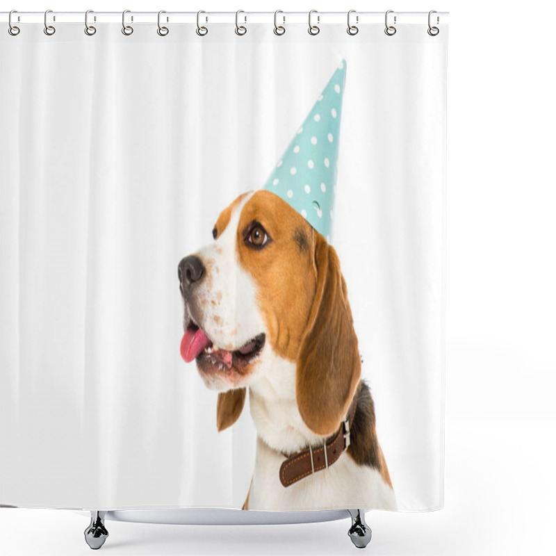 Personality  Side View Of Beagle Dog In Party Cone Sticking Tongue Out Isolated On White Shower Curtains