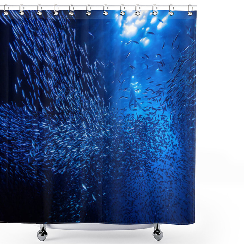 Personality  Shoal Of Small Tiny Fish In Underwater Cave Against Light Rays From Entrance Shower Curtains