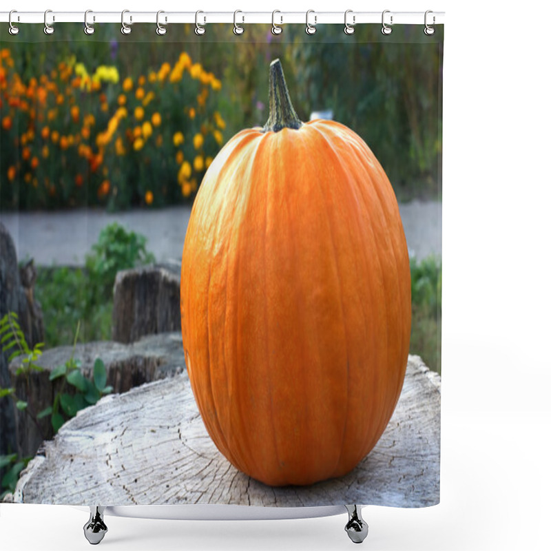 Personality  Fresh Pumpkin On Wooden Background In Autumnal Garden Shower Curtains