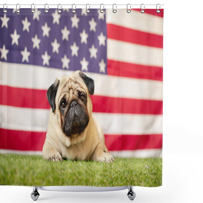 Personality  Pug Dog On The Background Of The American Flag. 4th Of July Independence Day Concept. High Quality Photo Shower Curtains