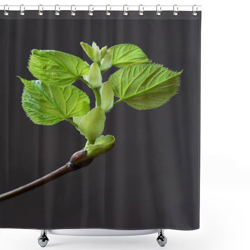 Personality  A Stunning Close-up Of A Budding Plant Showcasing Vibrant Green Leaves And The Delicate Texture Of New Growth. The Background Provides A Soft Focus, Emphasizing The Fresh Vitality Of Spring. Ideal For Themes Of Renewal, Nature, And Life Cycles Shower Curtains