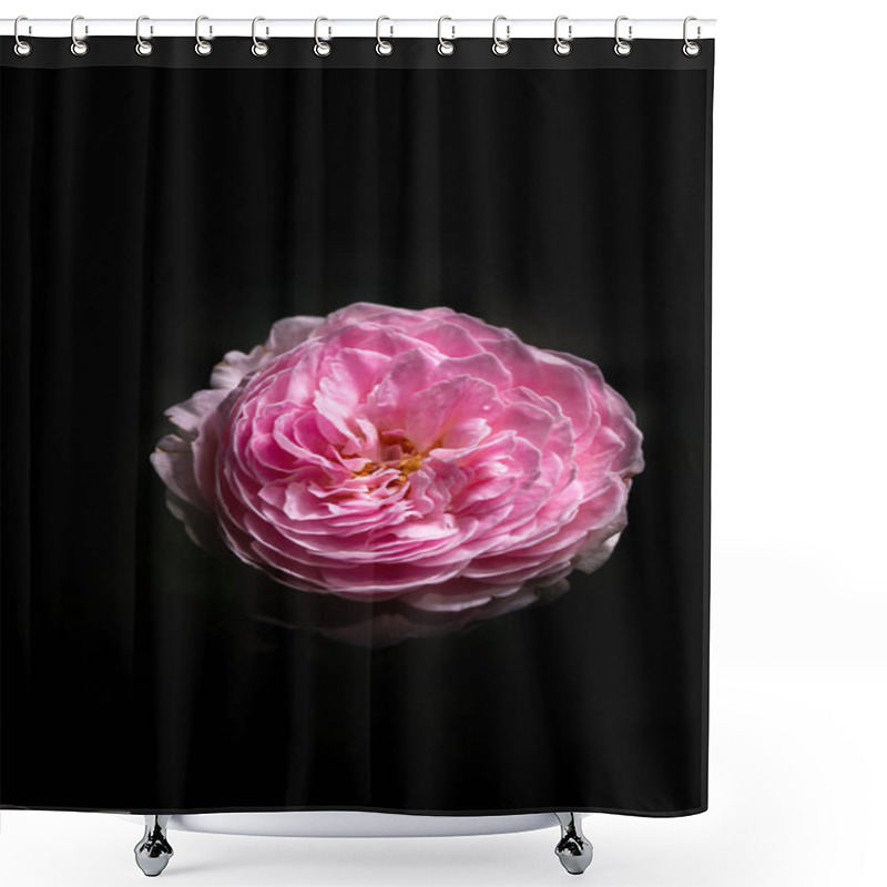 Personality  Pink Roses Blooming On A Dark Background Shower Curtains