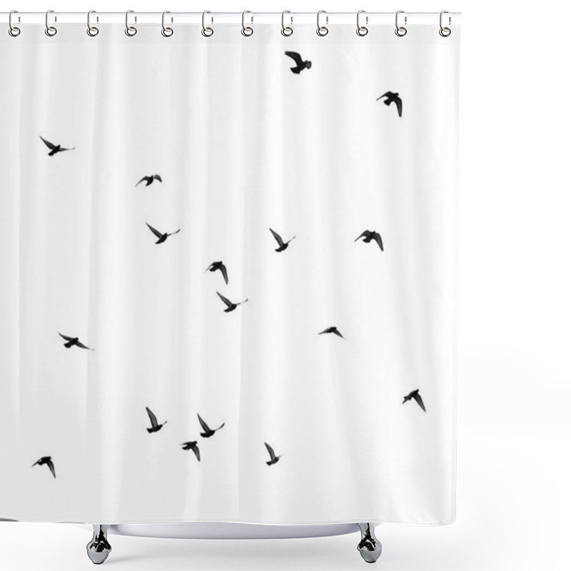 Personality  Flock Of Pigeons On A White Background Shower Curtains