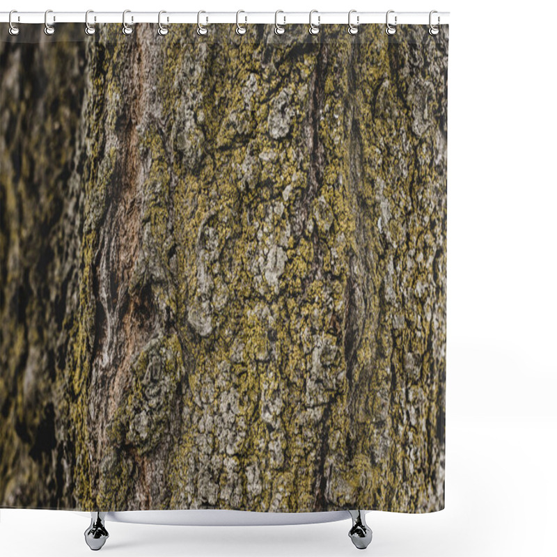 Personality  Close Up Of Textured Tree Bark Covered With Moss Shower Curtains