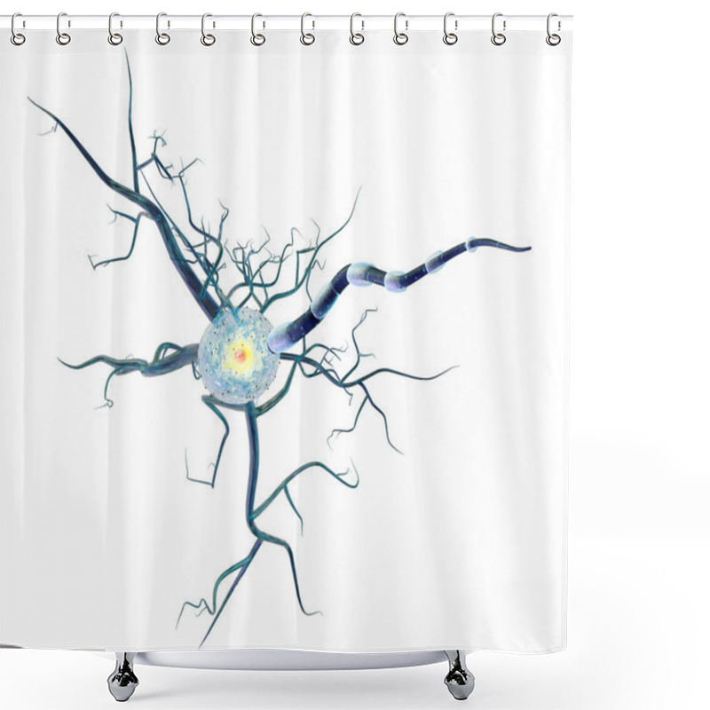 Personality  High Quality 3d Render Of Nerve Cell Isolated On White Background Shower Curtains