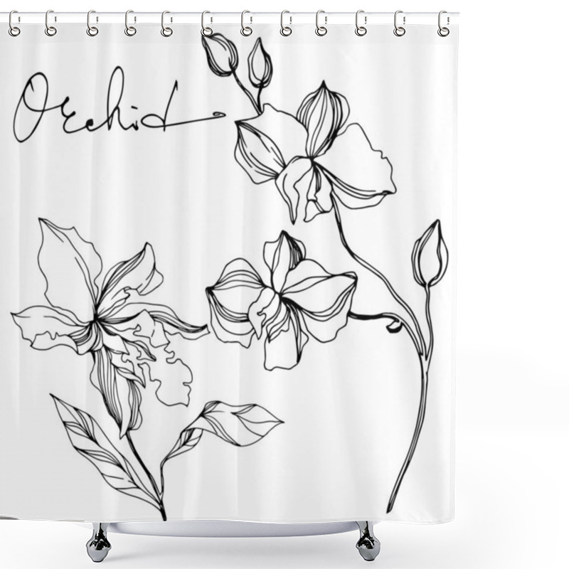 Personality  Vector Orchid Floral Botanical Flowers. Black And White Engraved Ink Art. Isolated Orchids Illustration Element. Shower Curtains