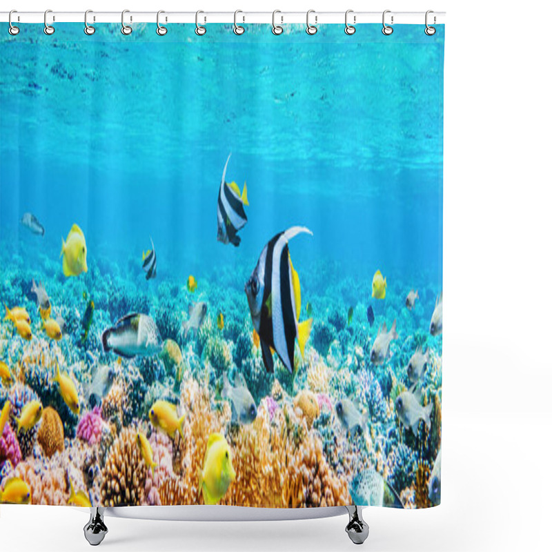 Personality  Seascape With Tropical Fish And Coral Reefs Shower Curtains