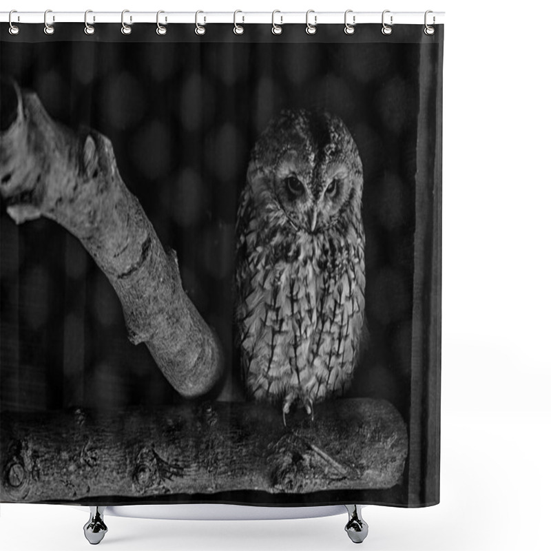 Personality  The Tawny Owl, Scientifically Known As Strix Aluco, Is A Charismatic Bird Found Throughout Europe, Asia, And Parts Of North Africa. With Its Russet-brown Plumage And Piercing Dark Eyes, This Nocturnal Hunter Exudes An Air Of Mystery. Capture The Esse Shower Curtains