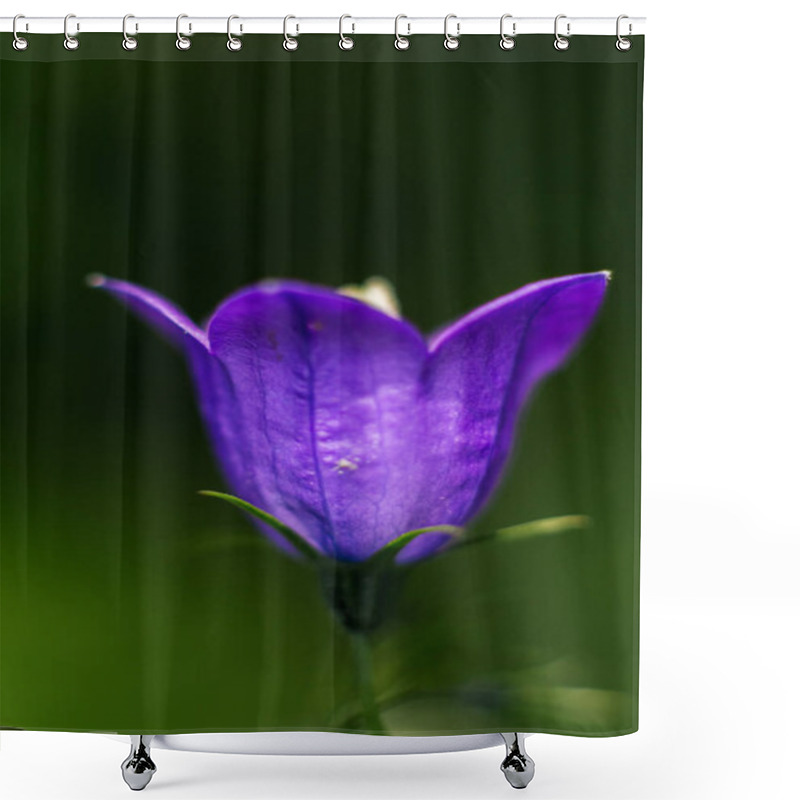 Personality  Immerse Yourself In The Delicate Beauty Of A Purple Sheikha Zaynab Bellflower In This Stunning Close-up Photograph, Showcasing The Intricate Details Of Nature's Floral Charm Shower Curtains