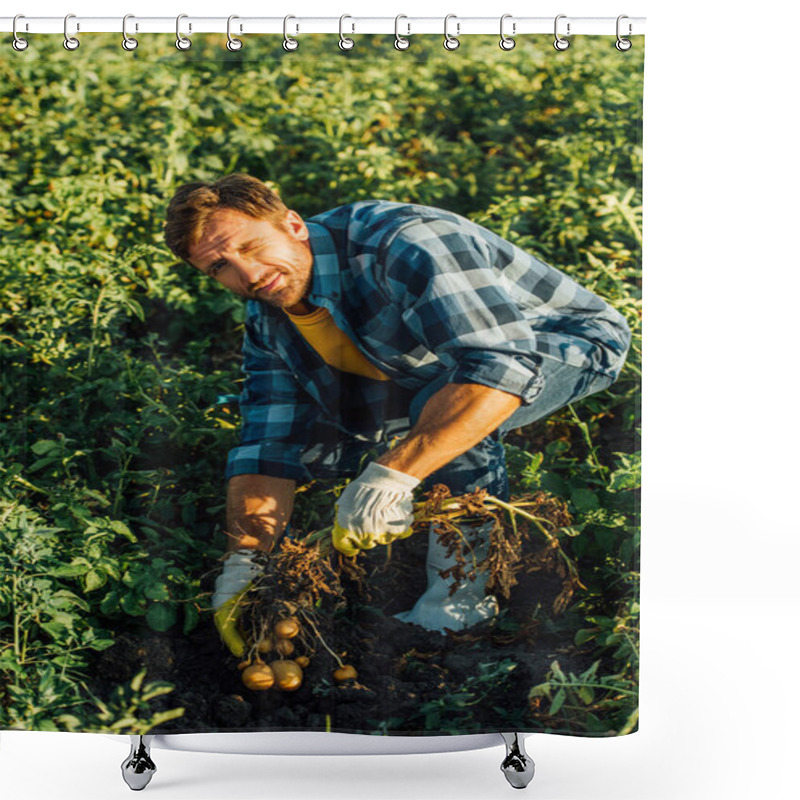 Personality  High Angle View Of Farmer In Plaid Shirt And Rubber Gloves Holding Potato Plant With Tubers While Looking At Camera Shower Curtains