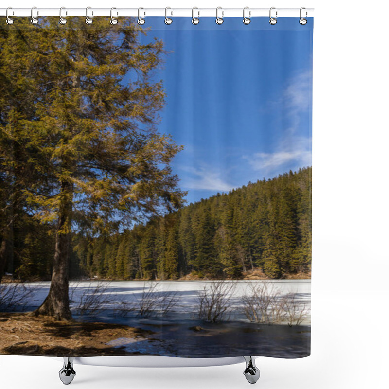 Personality  Evergreen Tree On Lake Shore In Winter  Shower Curtains