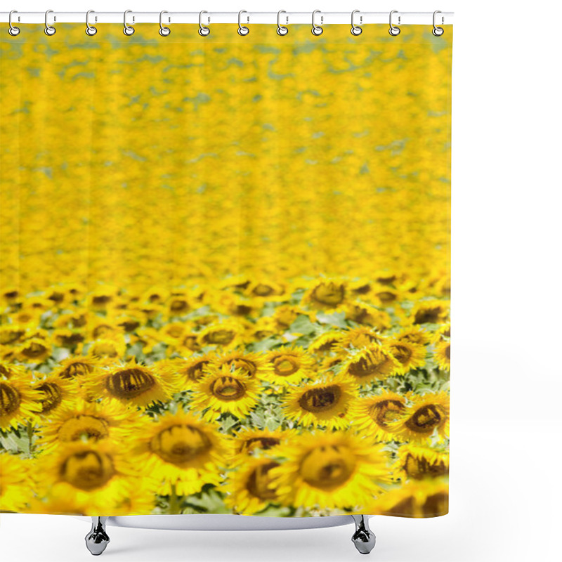 Personality  Sunflowers Shower Curtains