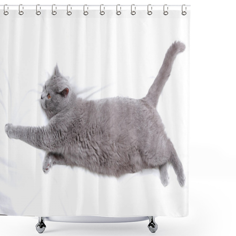 Personality  Adorable Cat Shower Curtains