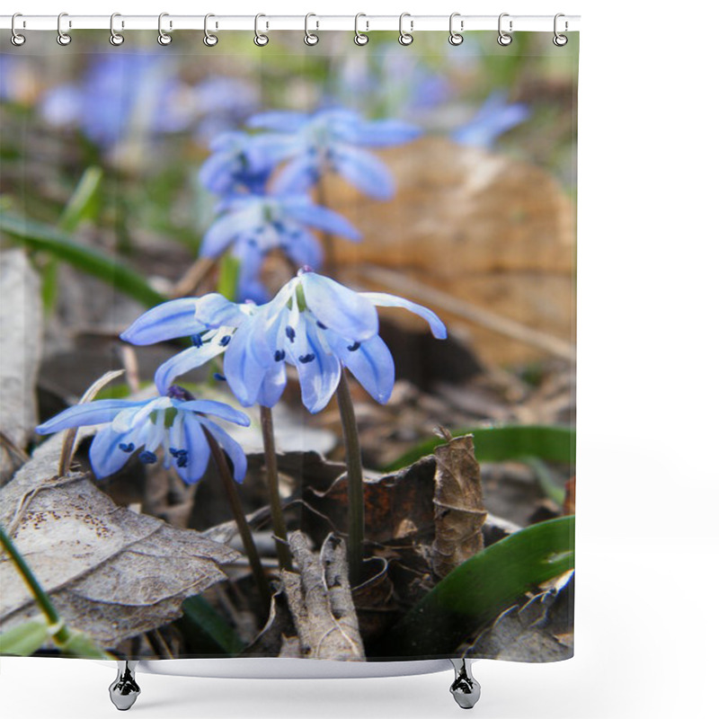 Personality  Bluebell Flower Shower Curtains