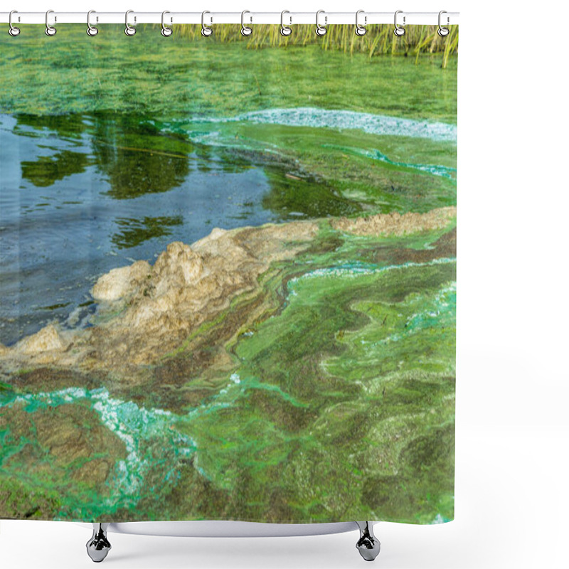 Personality  Ecological Crisis. Swampy Polluted River Water Shower Curtains