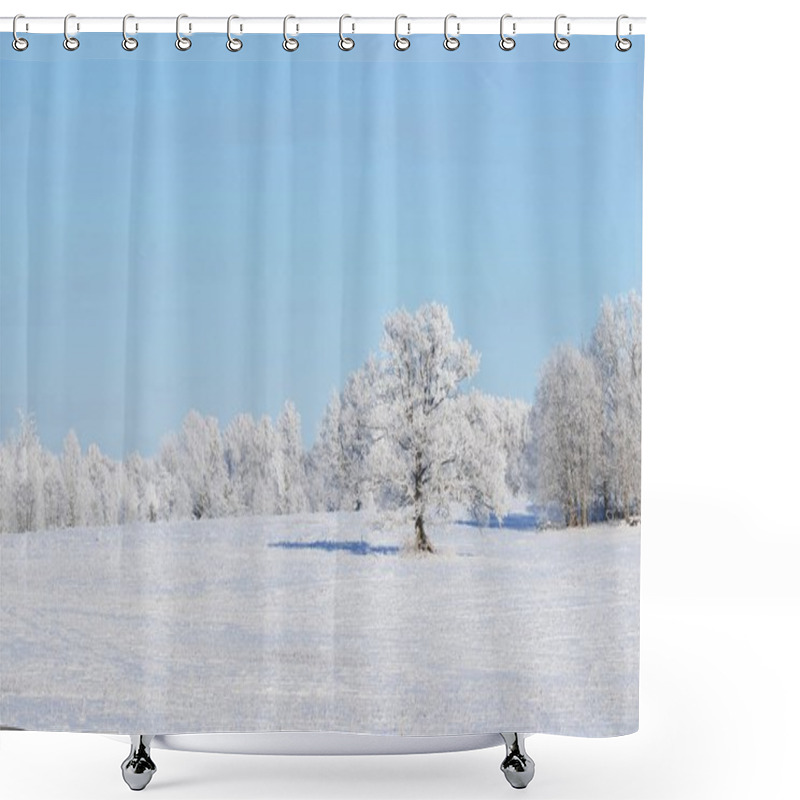 Personality  Oak Tree On A Snowcovered Field Shower Curtains