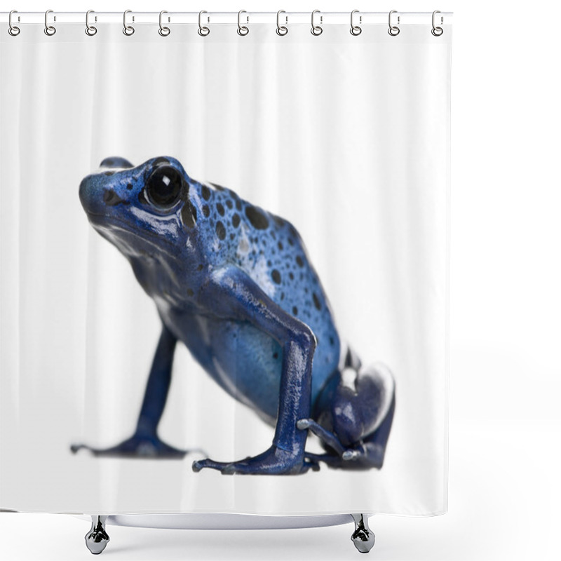 Personality  Blue Poison Dart Frog, Dendrobates Azureus, Against White Background, Studio Shot Shower Curtains