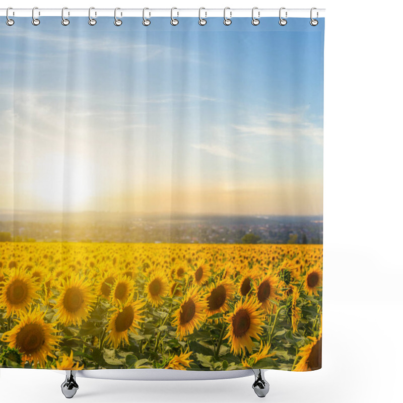 Personality  Golden Sunflower Field At The Sunset Shower Curtains