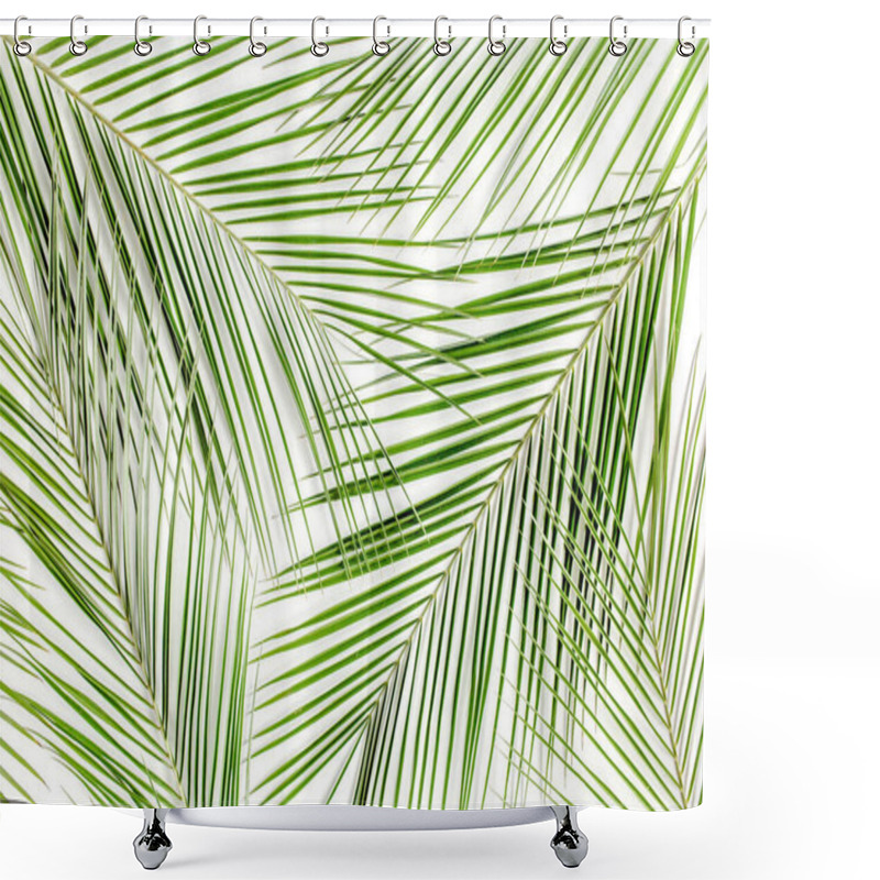 Personality  Texture Made Of Tropical Phoenix Palm Leaves, Leaf On White Background. Flat Layout, Top View Shower Curtains