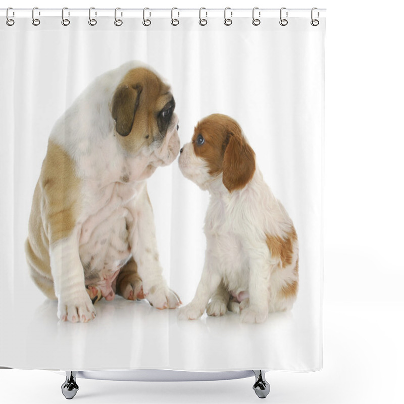 Personality  Puppy Friends Shower Curtains