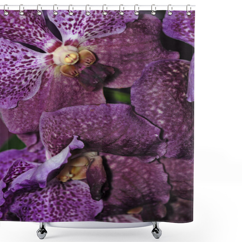 Personality  Beautiful Purple Orchid Shower Curtains