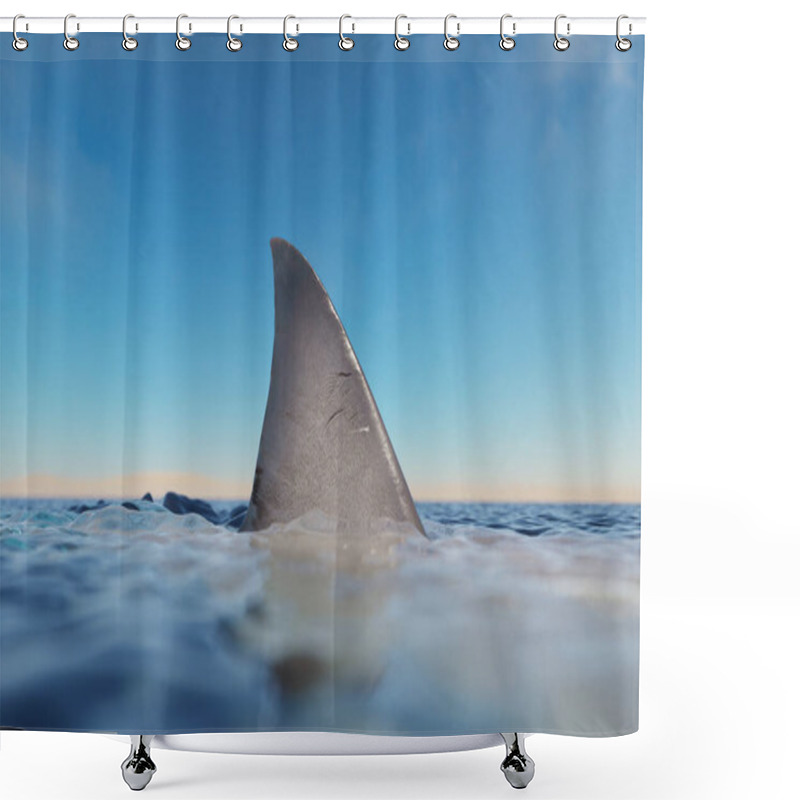 Personality  Close-up Shot Captures The Awe-inspiring Sight Of A Majestic Shark Fin Rising Out Of The Ocean Waters. The Sun's Rays Reflect Off The Fin, Creating An Ethereal And Mesmerizing Glow. Shower Curtains