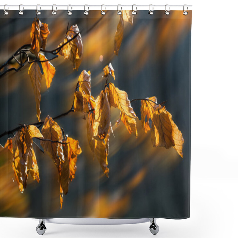 Personality  Autumn Leaves Shower Curtains