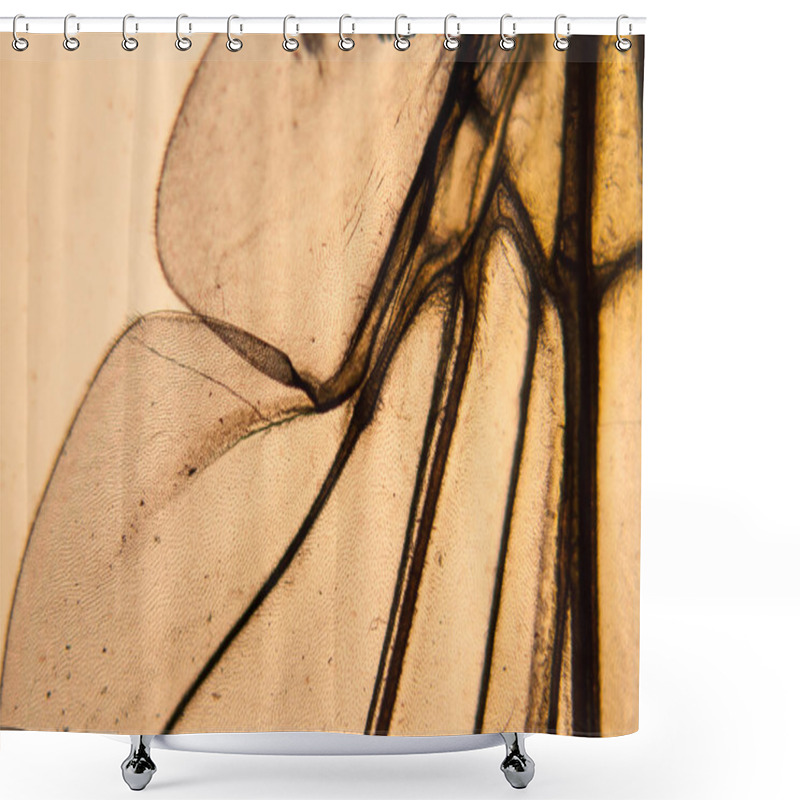 Personality  Bee Wing At The Microscope Shower Curtains