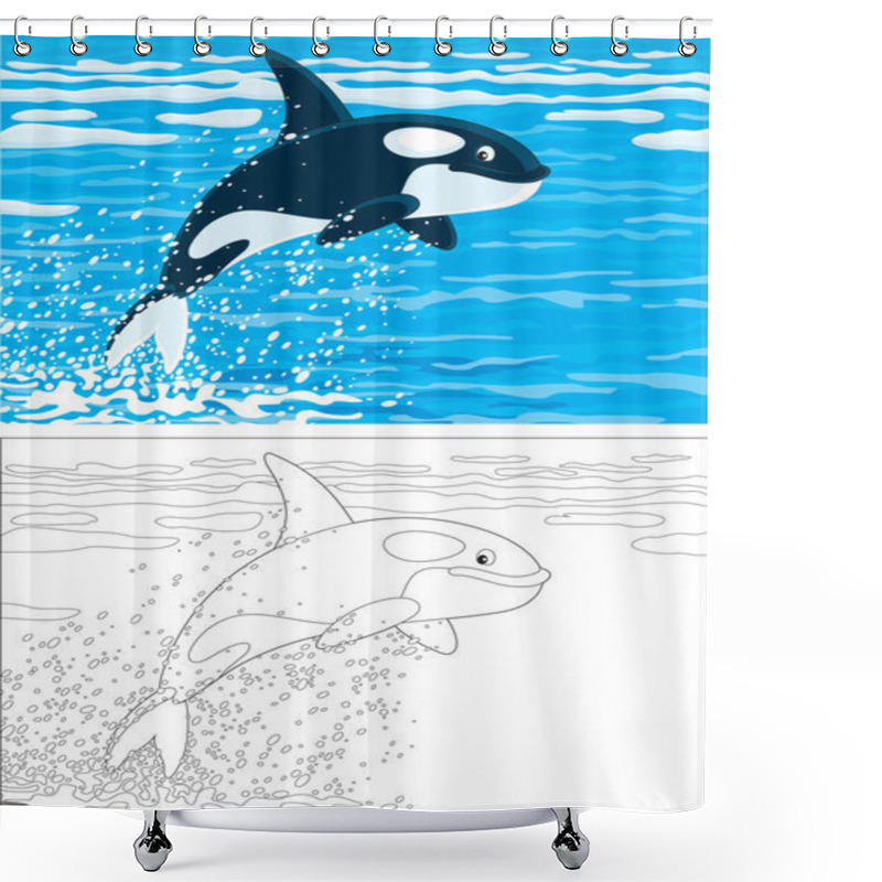 Personality  Killer Whale Shower Curtains