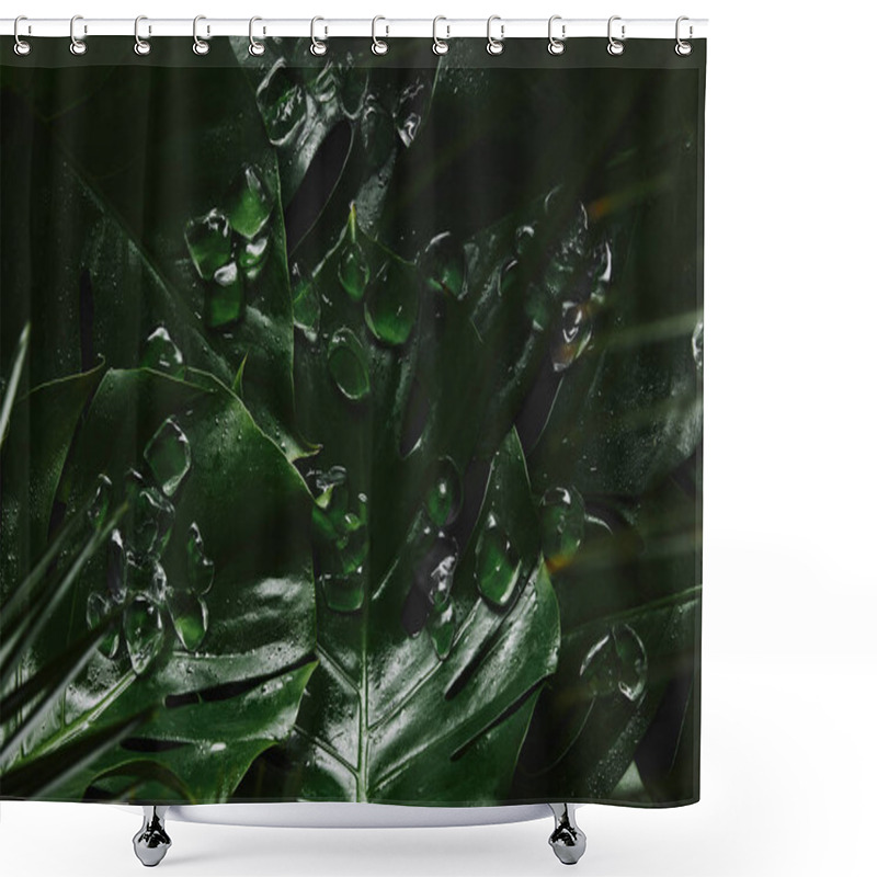 Personality  Close-up View Of Beautiful Green Wet Tropical Leaves And Ice Cubes Shower Curtains