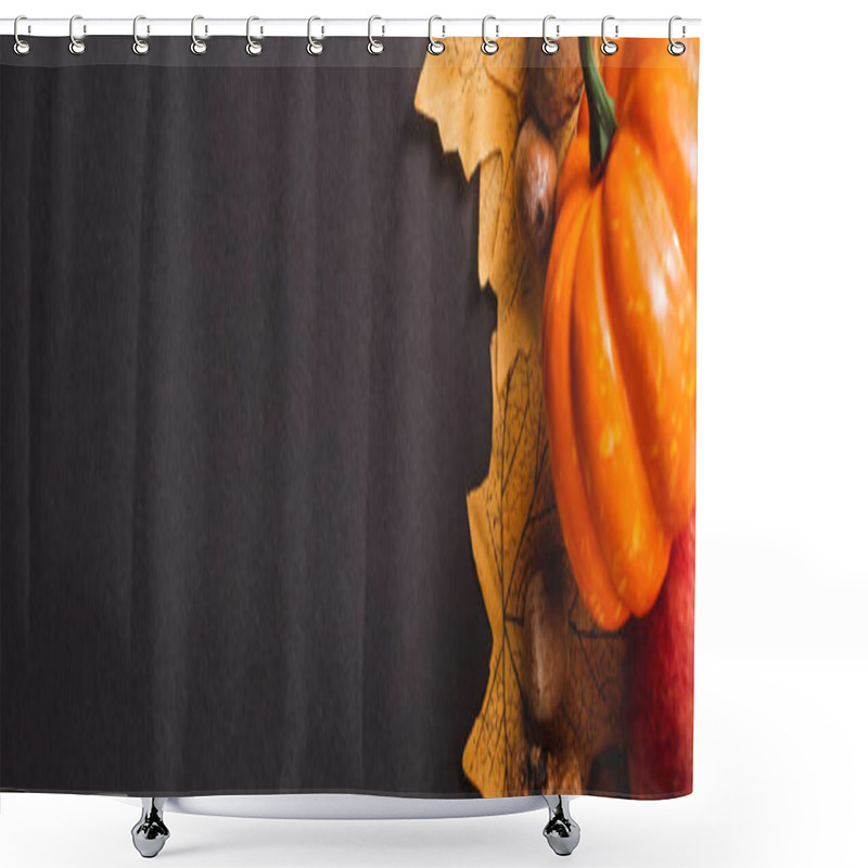 Personality  Top View Of Decorative Pumpkins, Nuts And Leaves On Black Background, Panoramic Shot Shower Curtains