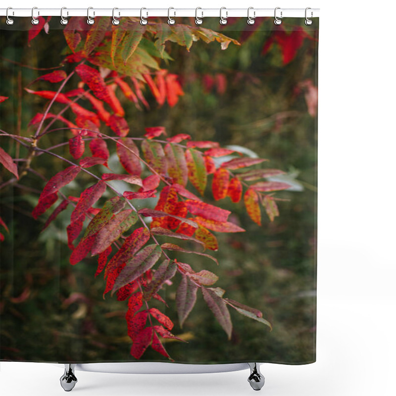 Personality  Branch Of Autumn Leaves With Red, Orange, And Green Hues, Outdoors Shower Curtains