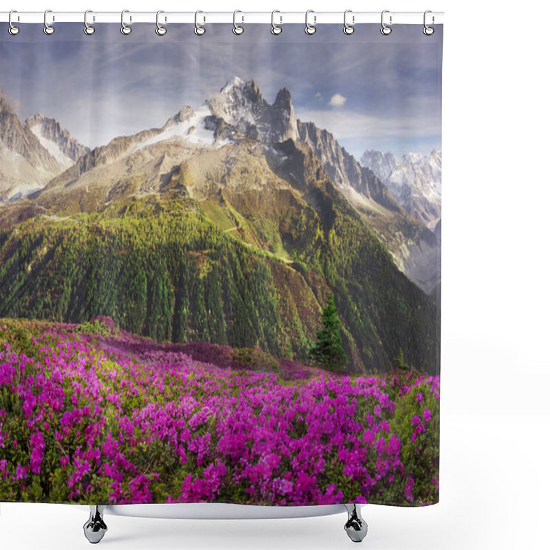 Personality  Alpine Rhododendrons On The Mountain Fields Of Chamonix Shower Curtains