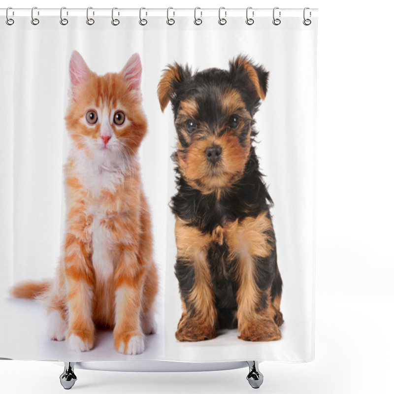 Personality  Little Cute Puppy And Red Kitten Isolated On White Shower Curtains