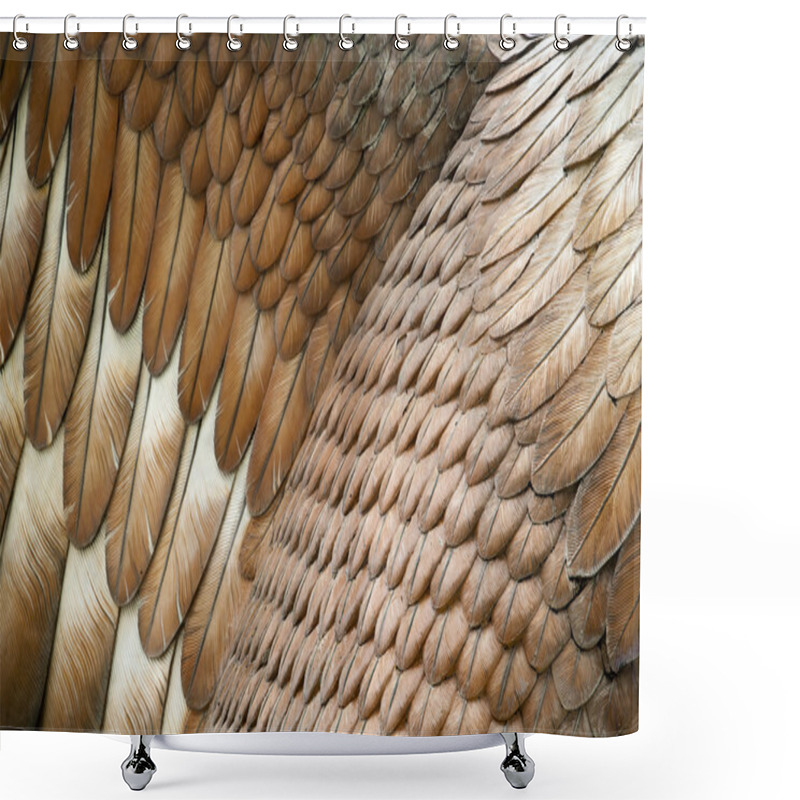 Personality  Eagle Feathers Shower Curtains