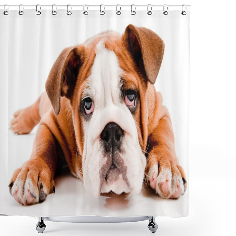 Personality  Cute Dog Shower Curtains