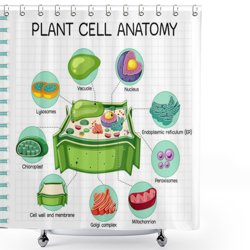 Personality  Anatomy Of Plant Cell (Biology Diagram) Illustration Shower Curtains