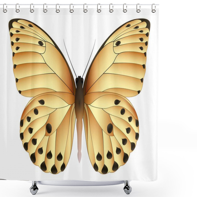 Personality  Beautiful Butterfly Isolated On A White Background Shower Curtains