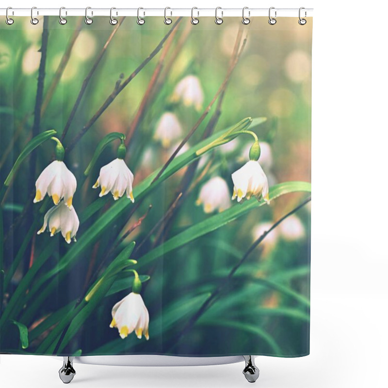 Personality  Spring Snowflakes Flowers. ( Leucojum Vernum Carpaticum) Beautiful Blooming Flowers In Forest With Natural Colored Background. Shower Curtains