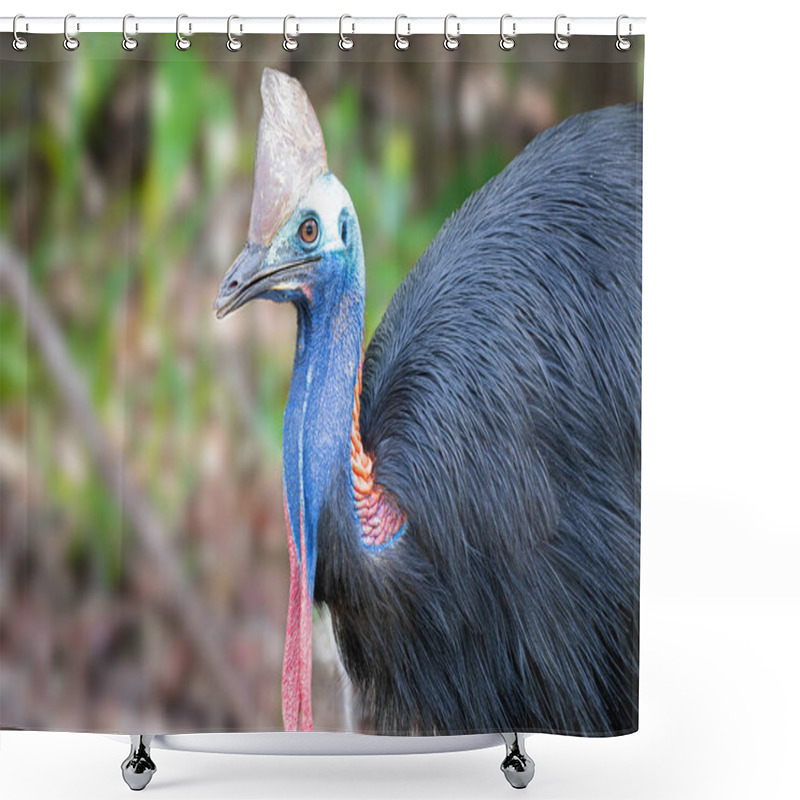 Personality  Cassowary Mom Crossing The Road With Her Chicks In Daintree Rainforest Shower Curtains