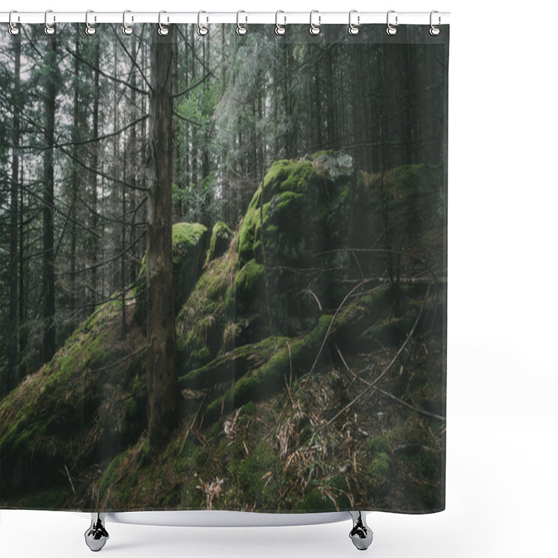 Personality  Foggy Forest Landscape Shower Curtains