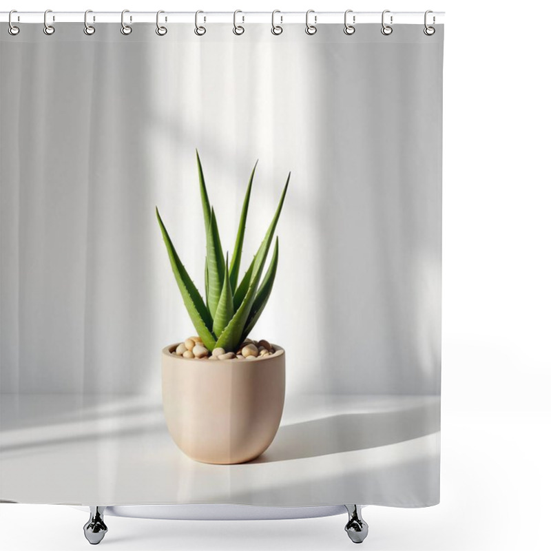 Personality  Aloe Vera Plant In A Pot Isolated On White Background Shower Curtains