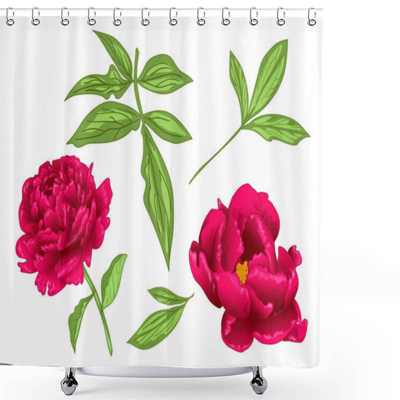 Personality  Vector Red Peony Floral Botanical Flower. Wild Spring Leaf Wildflower Isolated. Red And Green Engraved Ink Art. Isolated Peony Illustration Element On White Background. Shower Curtains